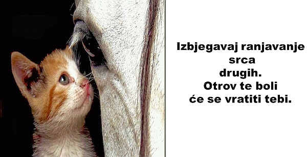 izbjegavaj ranjavanje