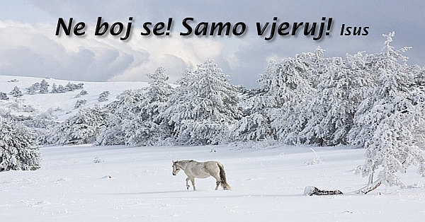 ne boj se isus