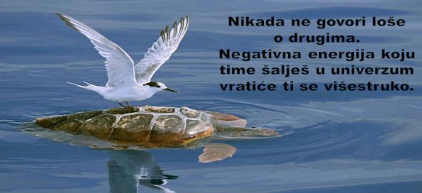 nikad-ne-govori