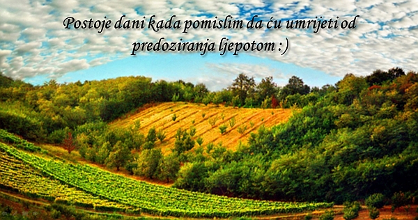 predoziranje-ljepotom
